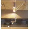 But de Basket-ball Latéral Type Pantographe, Relevable par dessus les Tribunes