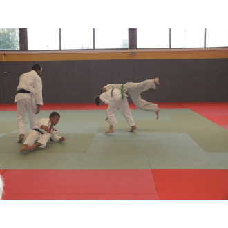 Tapis de Judo Revêtement vinyle/Dessous nu