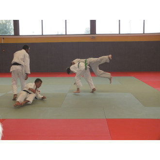 Tapis de Judo Revêtement vinyle/ Dessous anti-dérapant