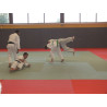 Tapis de judo Olympic Révêtement vinyle dessous nu